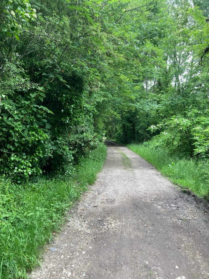 Sur les hauts de Coulommiers - Coulommiers