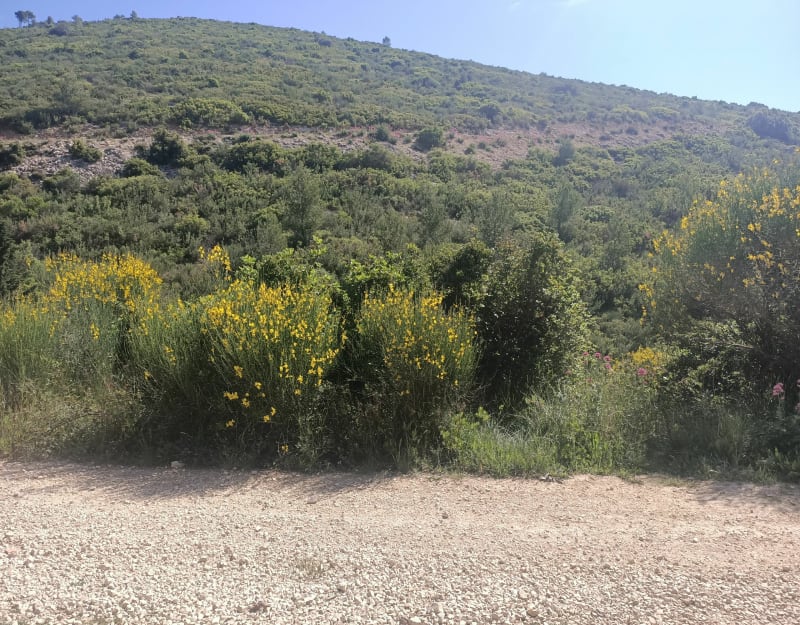 De la Mure au château Gombert en passant par les Ouides - Marseille