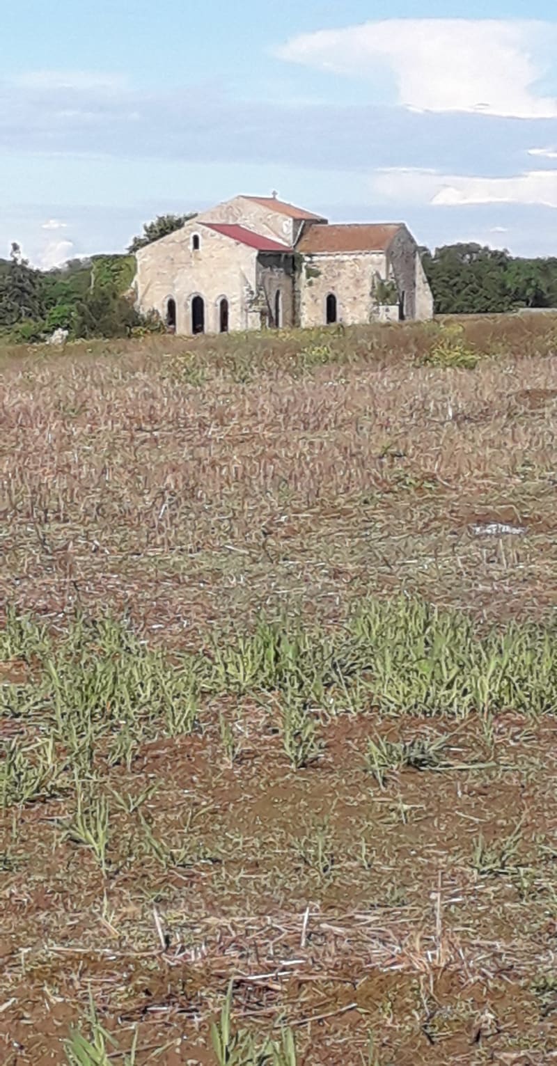 L'Abbaye des Fontenelles - La Roche-sur-Yon