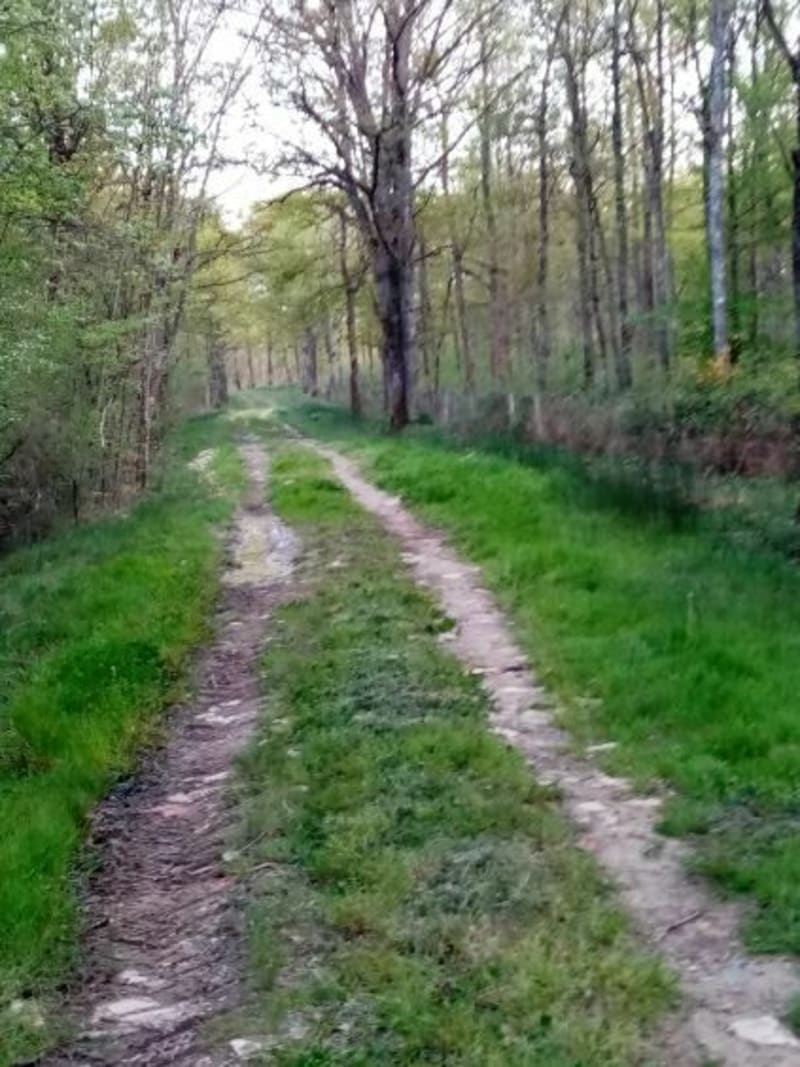 Parcours d'Argenton-sur-Creuse par la Chocaterie - Argenton-sur-Creuse
