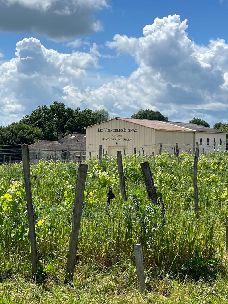 Balade vignes, moulins et châteauà Mirande - Lussac