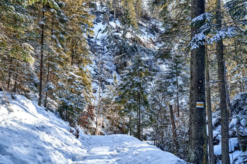 Dolina Białego – zbadaj piękne okolice Zakopanego! - Zakopane