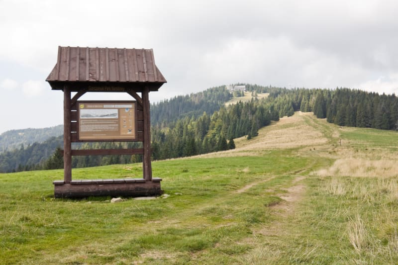 Gorczański Park Narodowy – łatwy szlak spacerowy na Papieżówkę - Lubomierz
