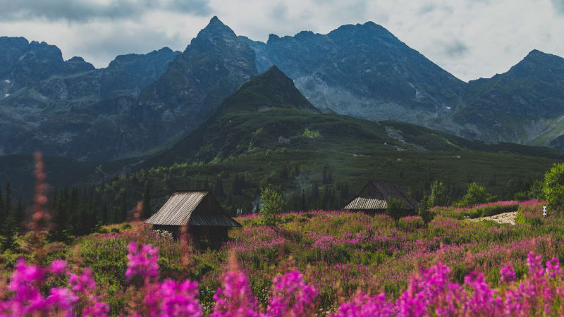 Dolina Gąsienicowa, Zawrat, Dolina Pięciu Stawów – wyprawa w serce Tatr - Zakopane