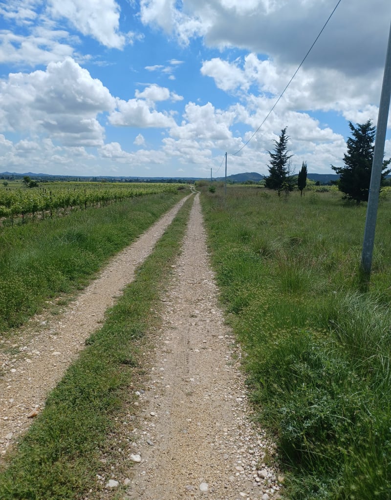 Boucle au Pont-du-Gard - Saint-Hilaire-d'Ozilhan