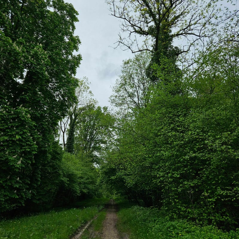 La distance d'un semi-marathon sur la colline de la Dhuis - Villeparisis