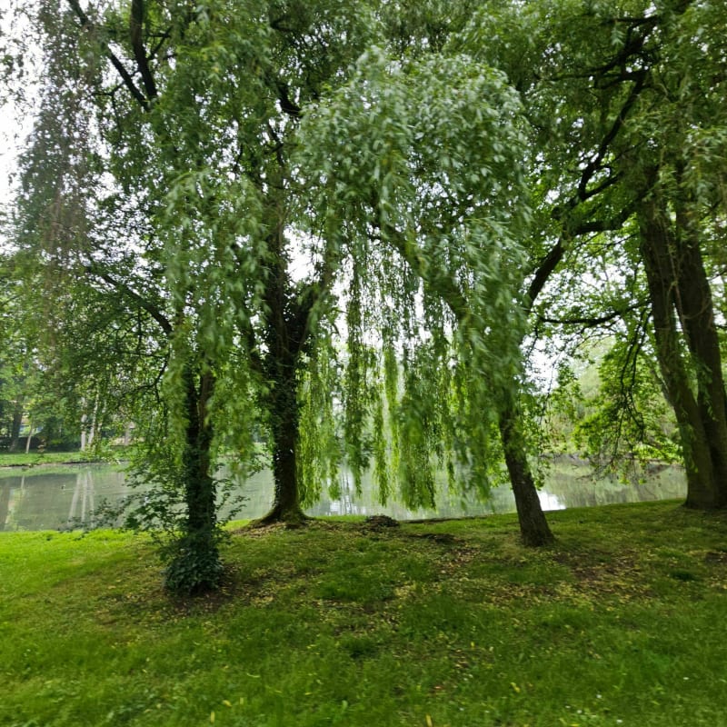 Un beau 20K dans la campagne de la Seine et Marne - Villeparisis