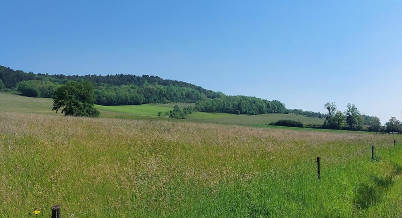 Balade à la decouverte du Plateau Ste Barbe - Bainville-sur-Madon