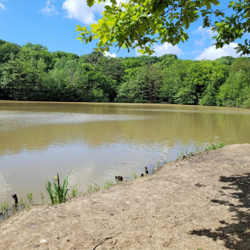 Découverte du lac d'Harchelle - Renescure