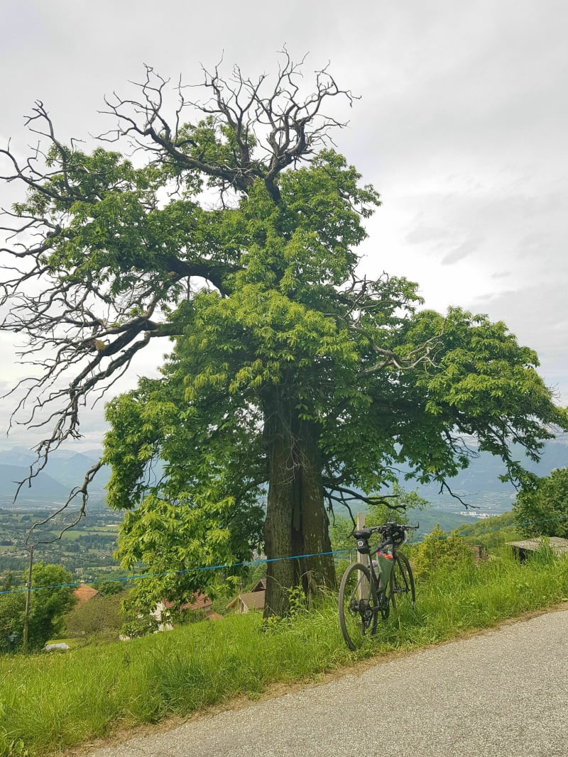 Sommet des 4 Seigneurs depuis Grenoble - Grenoble