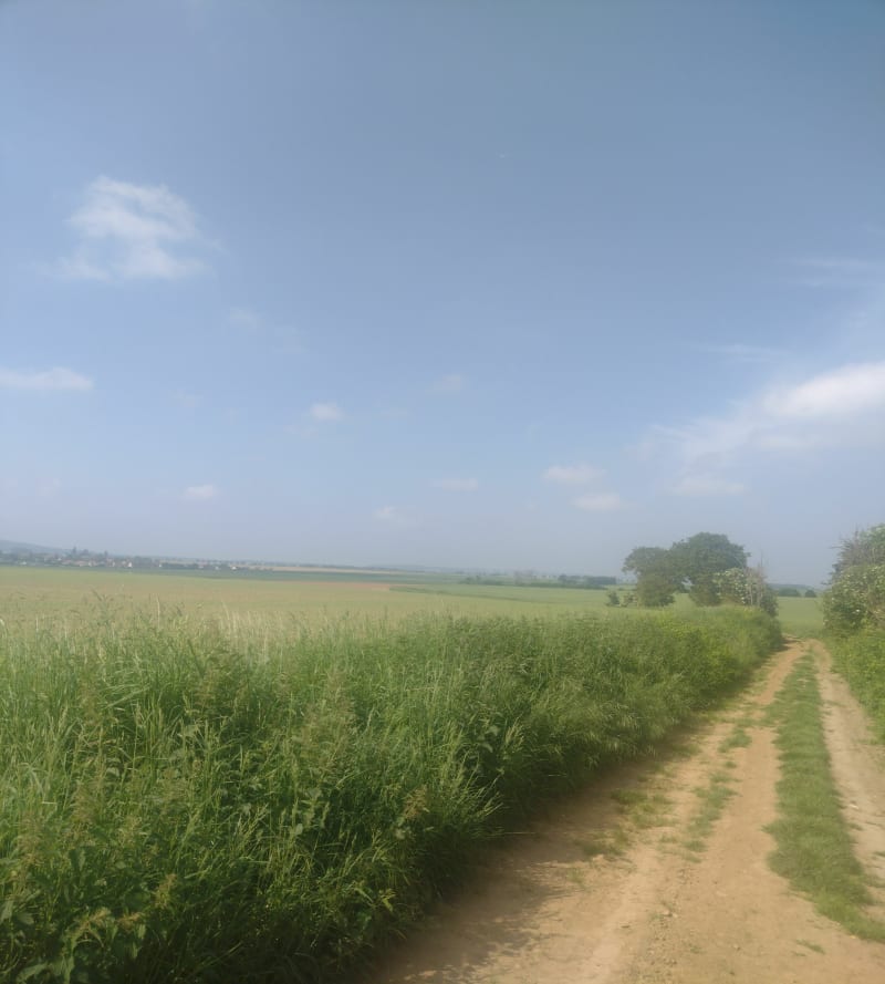 Au coeur de la campagne Picarde - Le Plessis-Belleville