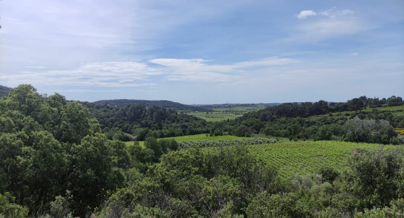 Balade entre Neffiès et le Faïgaras - Neffiès