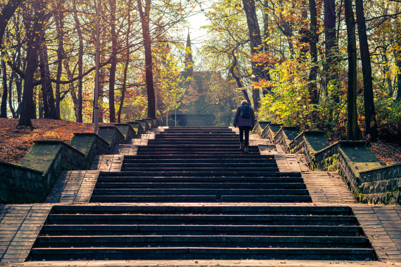 Park Kościuszki w Katowicach: miejsce pełne atrakcji i historii - Katowice
