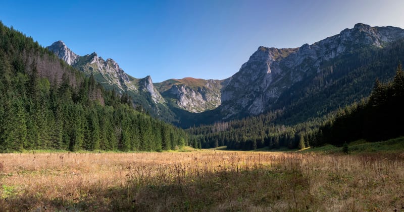 Dolina Małej Łąki – trasa po pięknych tatrzańskich dolinach - Zakopane