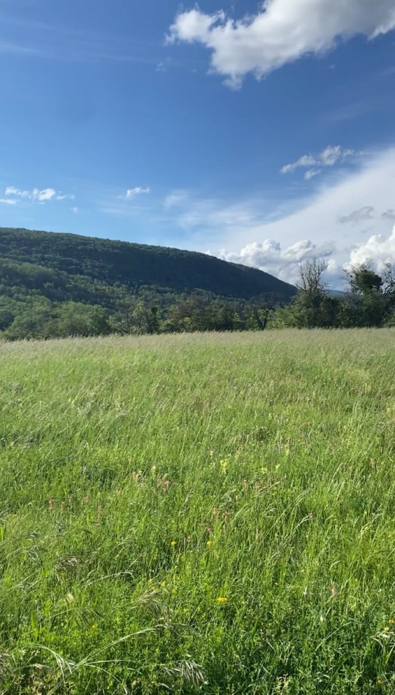 Petite boucle à Rouffach - Rouffach
