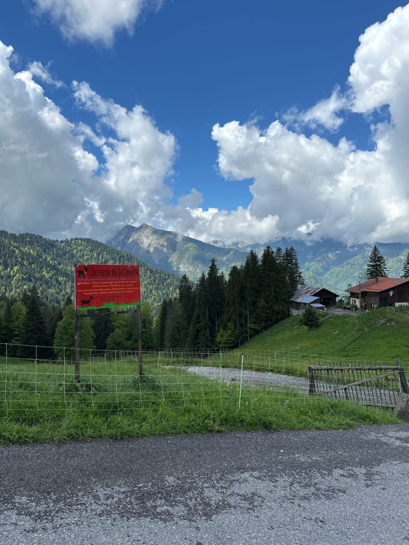 La ferme des Vonezins - Thônes