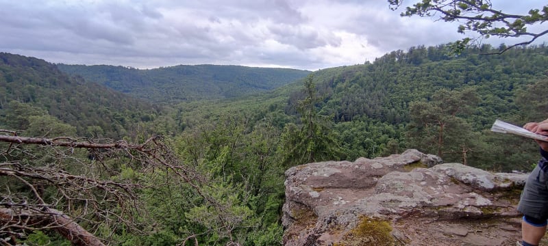 Le Saut du Chien depuis La Petite Pierre - La Petite-Pierre