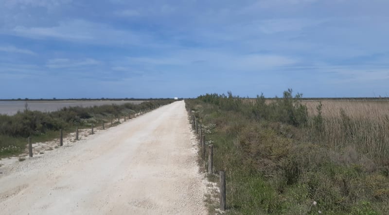 Balade en Camargue - Arles