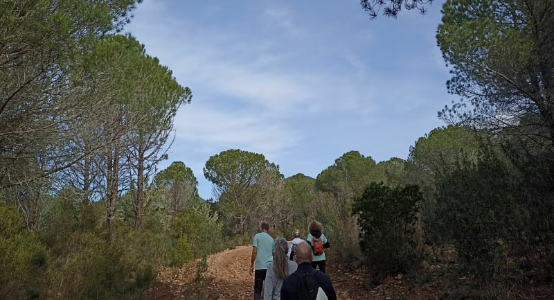 Balade à Bagnols-sur-Forêt - Puget-sur-Argens