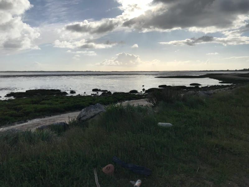 Balade entre Port-des-Barques, Île Madame et Soubise - Port-des-Barques