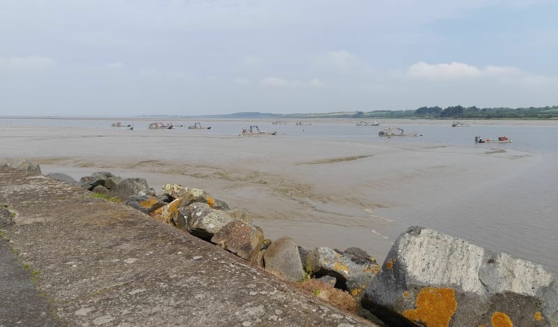 Découverte de la presqu'île de Pénestin - Pénestin