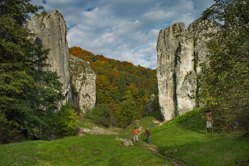 Dolina Bolechowicka – piękny szlak w Dolinkach Krakowskich - Karniowice