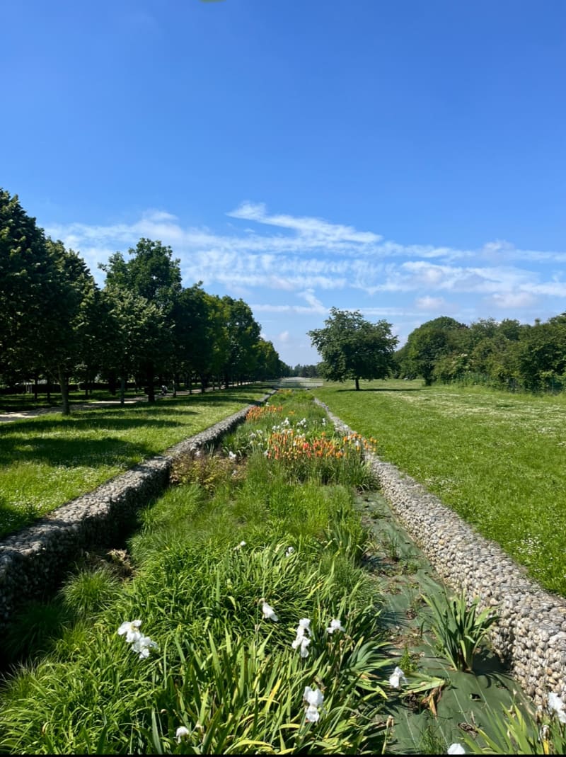 Découverte du Parc des Lilas - Vitry-sur-Seine