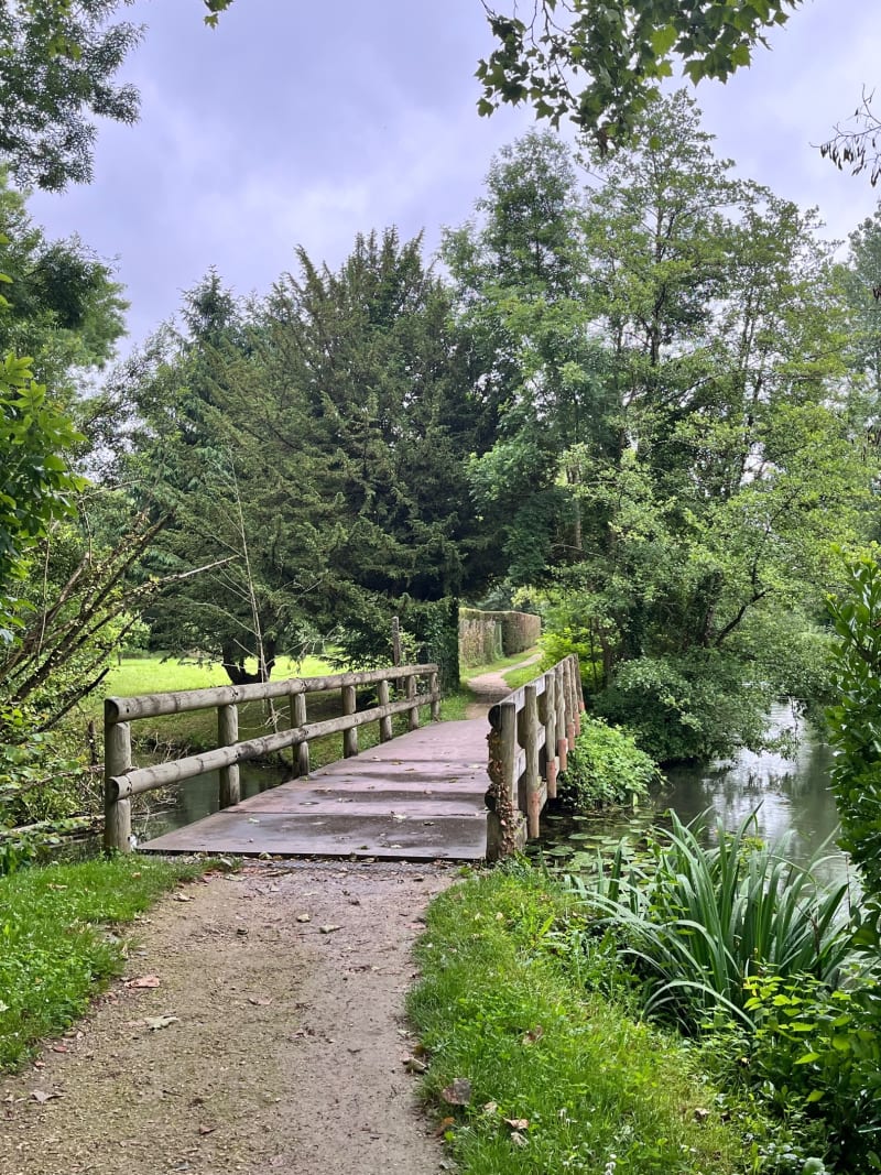 Balade à la découverte de la Boutonne - Saint-Jean-d'Angély