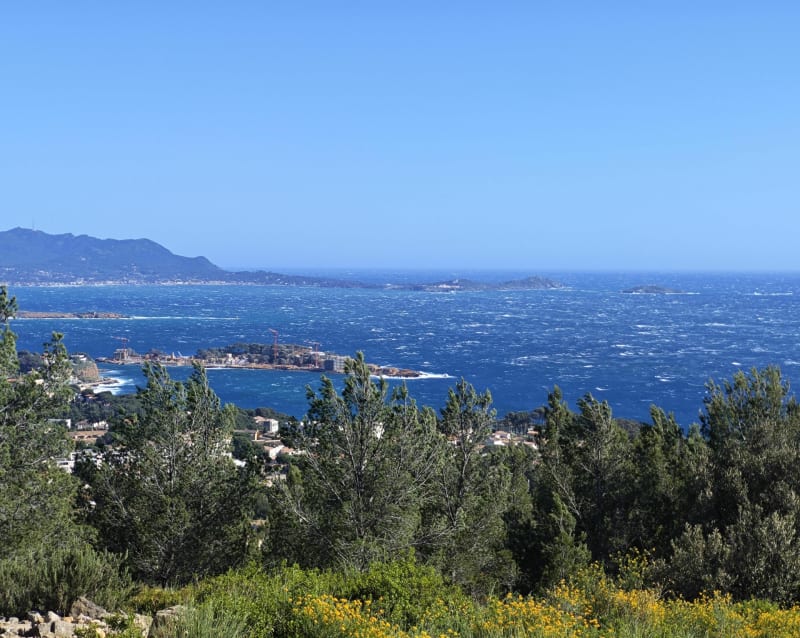 Du port aux hauteurs de Bandol - Bandol