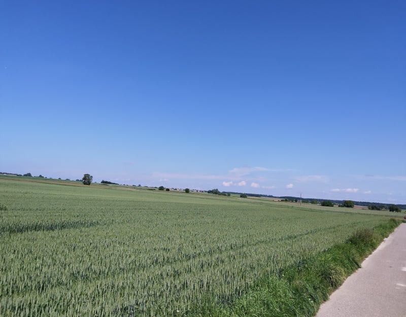 Circuit Gries - Weitbruch - Kurtzenhouse -Gries - Gries
