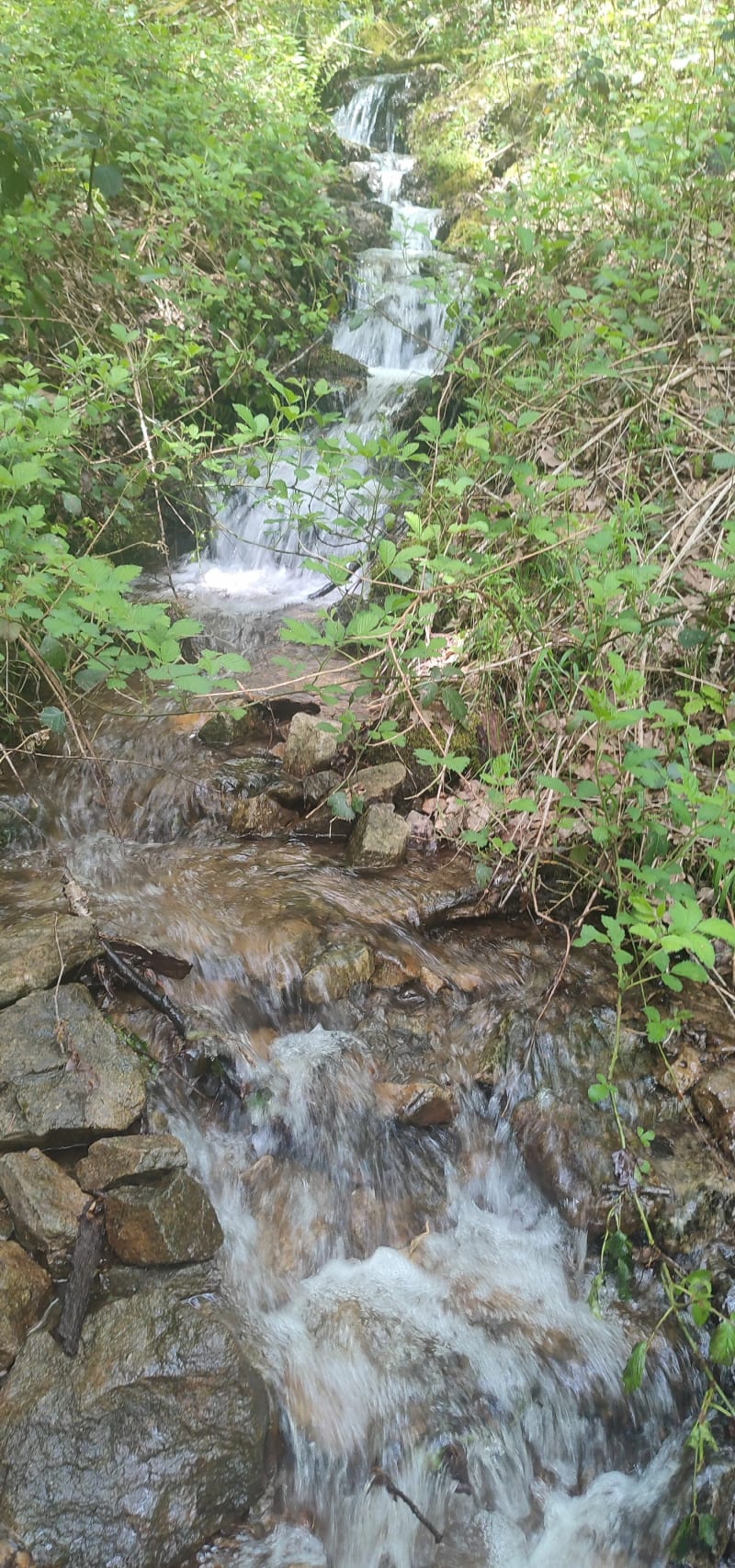 Cascade de Montfermy - Montfermy