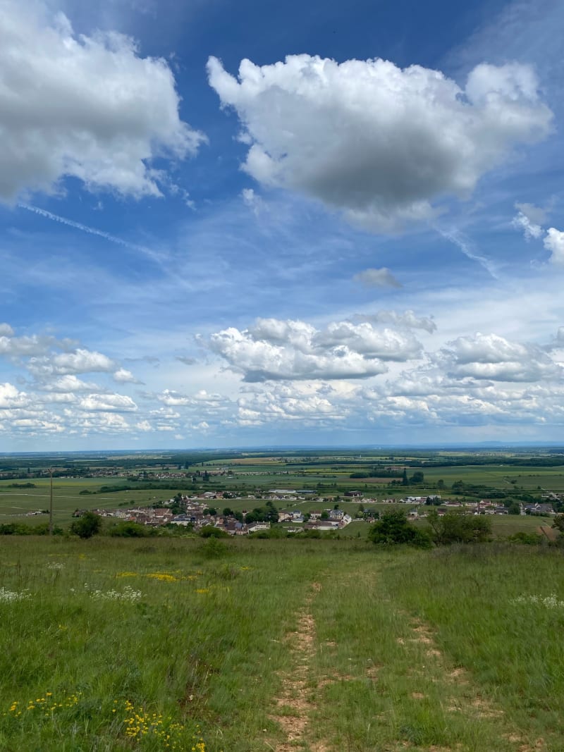 Balade avec vu sur Nuits-Saint-Georges - Nuits-Saint-Georges