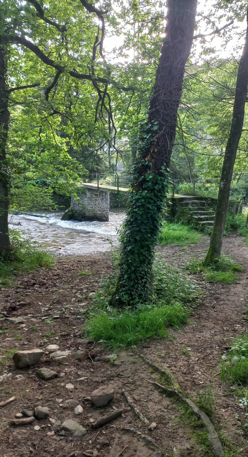 Jolie boucle autour de Chazelles-sur-Lyon - Chazelles-sur-Lyon