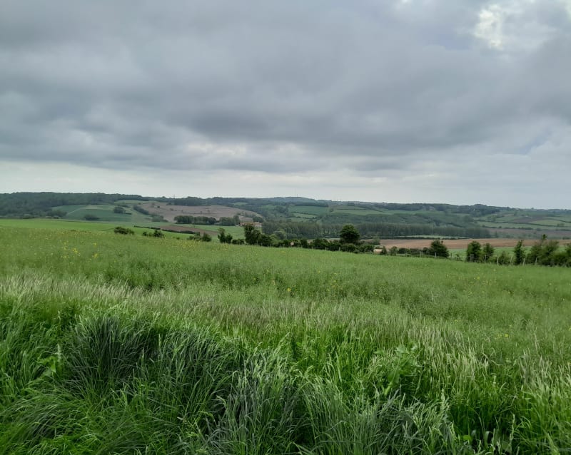 Randonnée Le Rendal - Maninghen-Henne