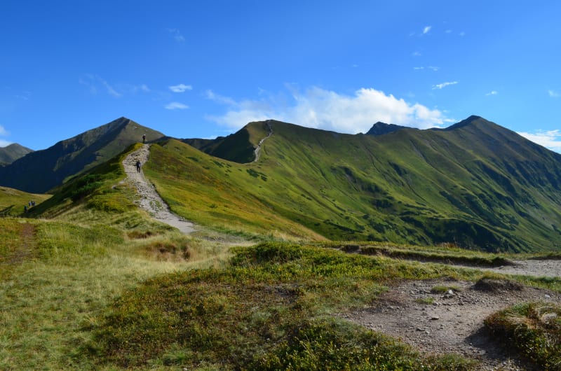 Tatry Zachodnie: wędrówka przez Dolinę Kościeliską i Chochołowską - Kościelisko