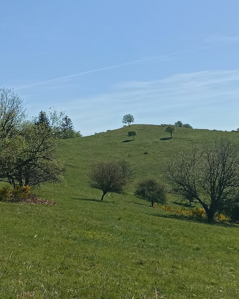 Balade dans les Vosges depuis le col du Grand Ballon - Soultz-Haut-Rhin