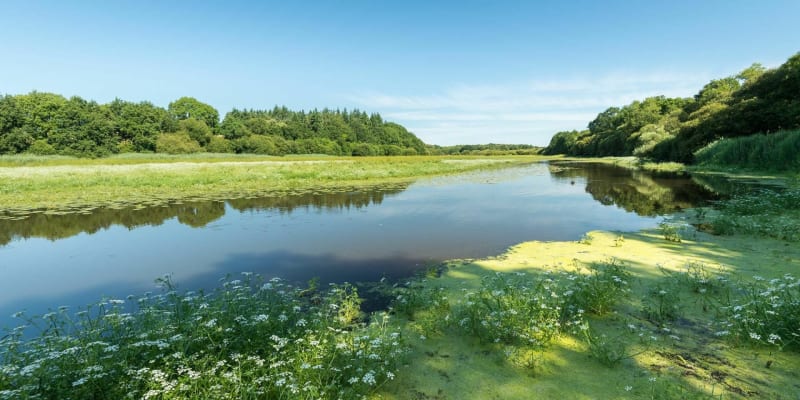 Lac au Duc et plaine bretonne autour de Ploërmel - Ploërmel