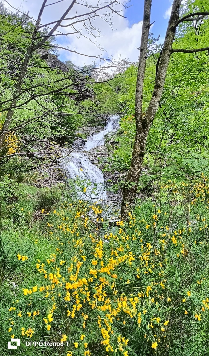 Randonnée familiale depuis le col de Banette - Ventalon en Cévennes