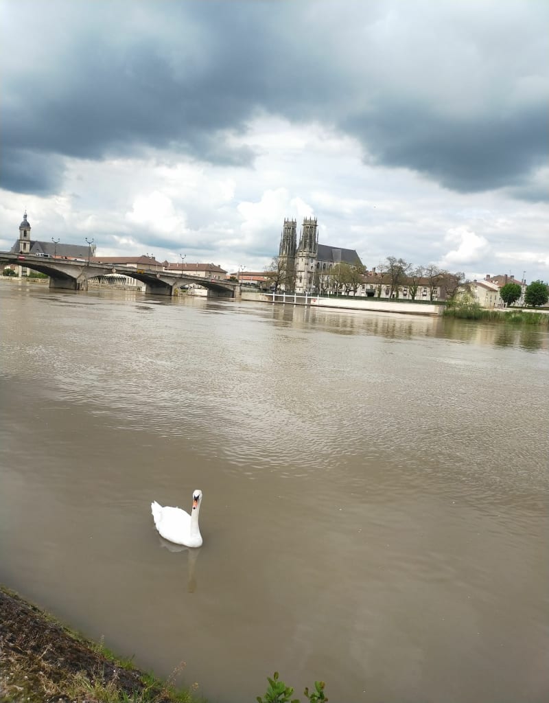 Aux bords de la Moselle - Pont-à-Mousson