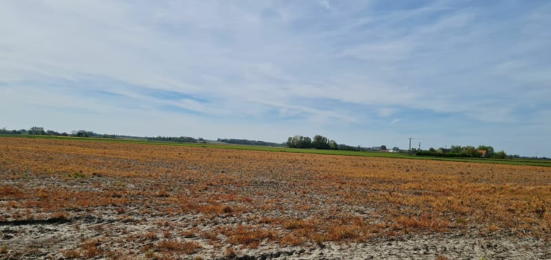 Le long des canaux epuis Bergues - Bergues