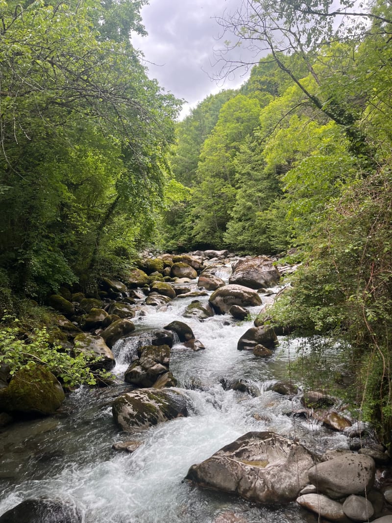 Promenade de l’Arrieulat - Lau-Balagnas