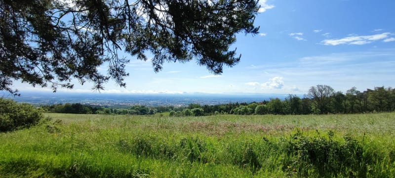 Marche gourmande à Montbrison - Montbrison