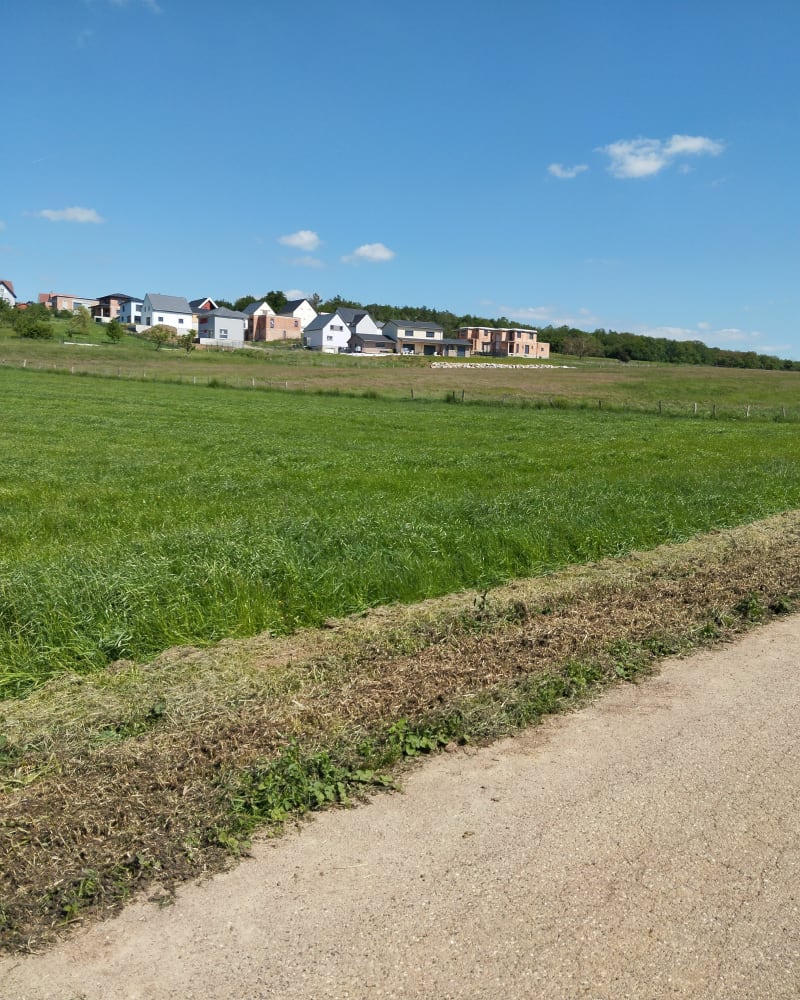 Promenade du dimanche à Engwiller - Engwiller