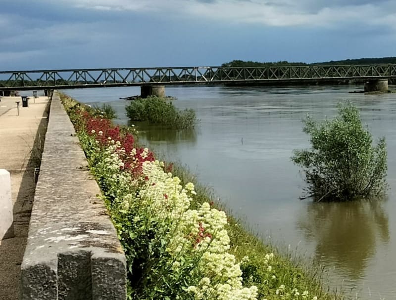 Levées de La Loire - Angers