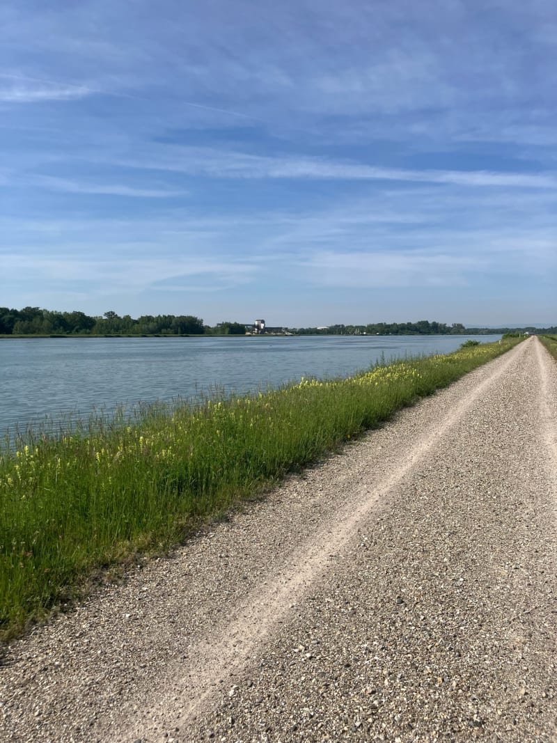Vélo sur l'ancienne route du Rhin à la Wantzenau - La Wantzenau