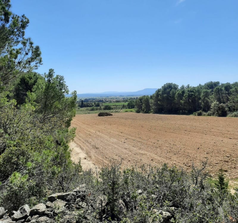 Chemin Les Capitelles - Siran