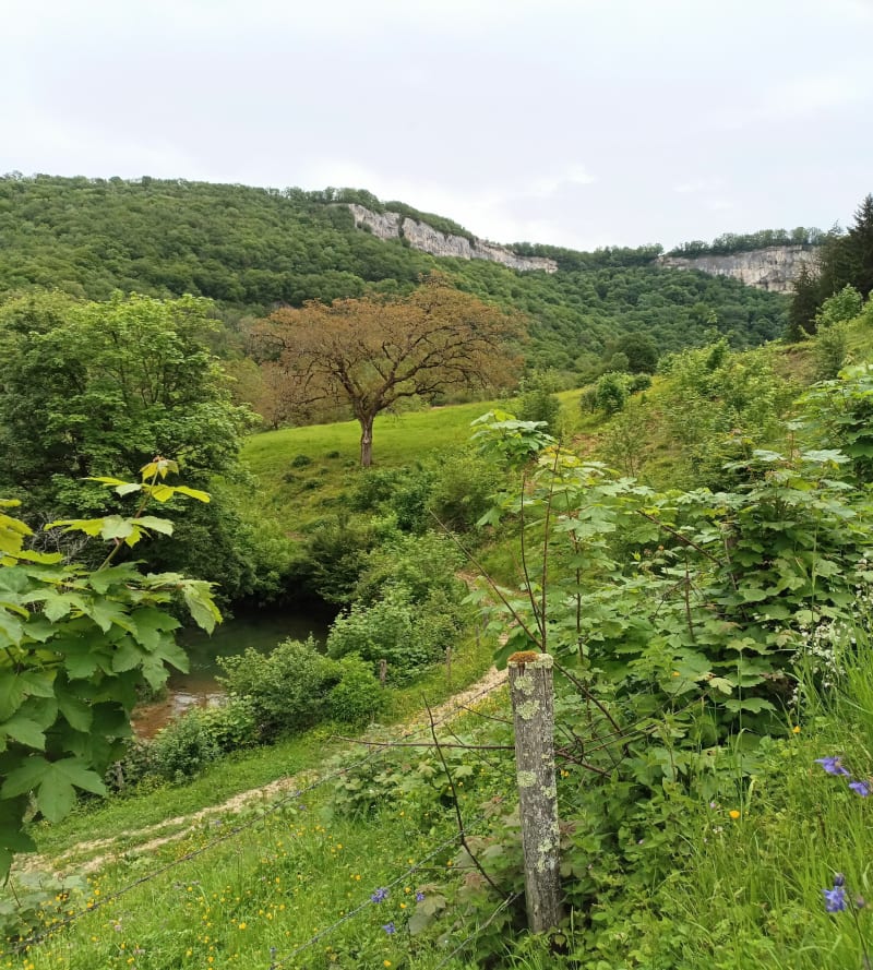 Reculée de Blois-sur-Seille - Blois-sur-Seille