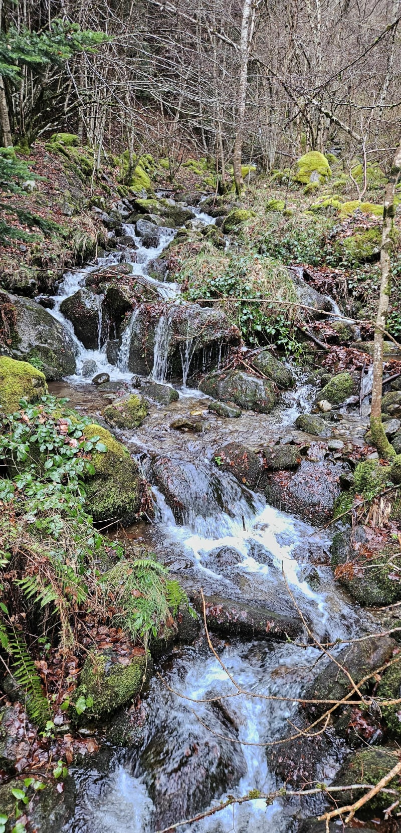 Randonnée à Mesland - Mesland