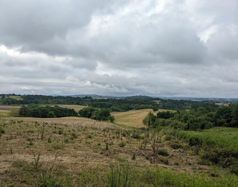 Boucle Castetarbe - Orthez