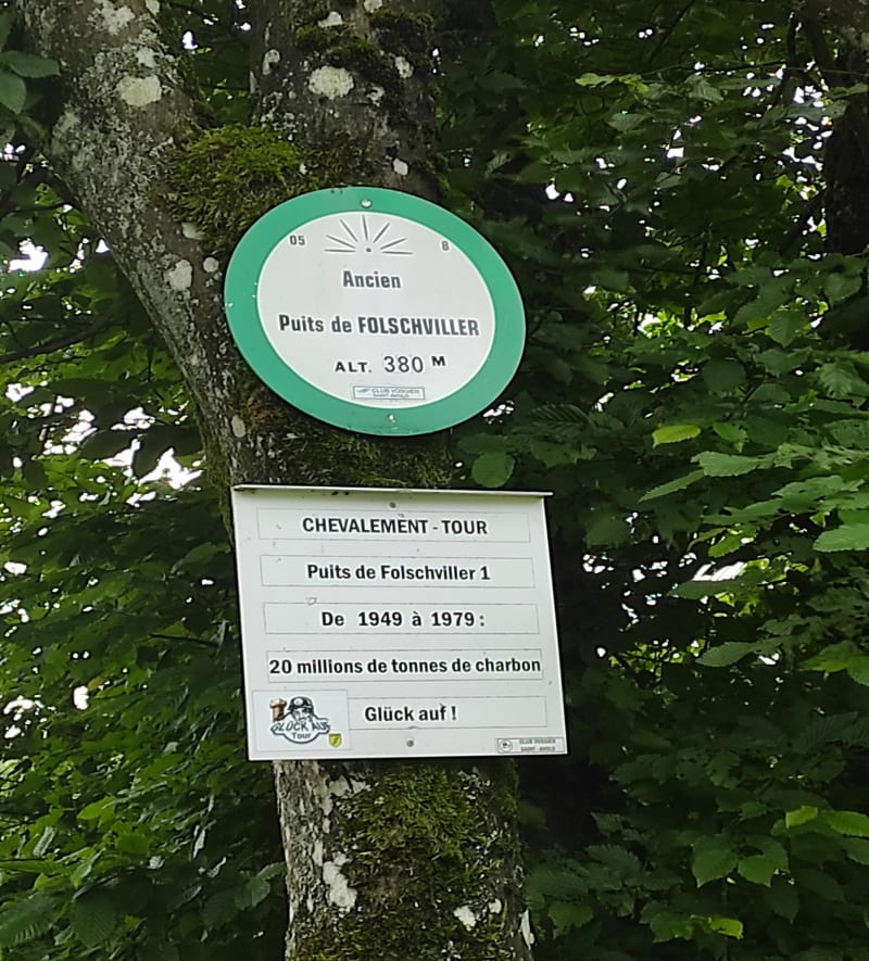 Balade en forêt de Folschviller - Folschviller